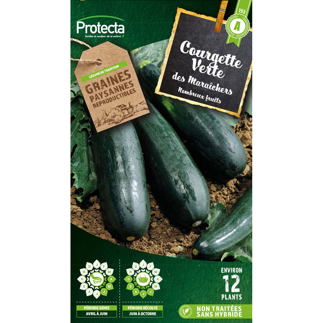 Courgette Verte Des Mara Chers